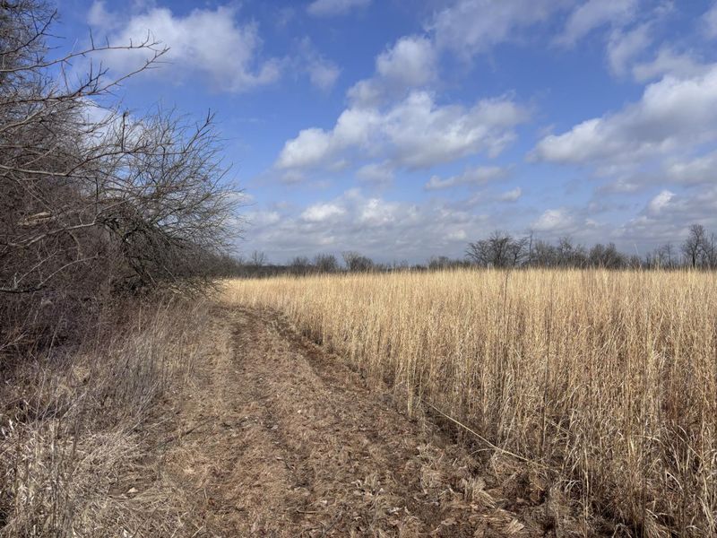 924 Eris Road, Urbana, OH 43078 Photo 39