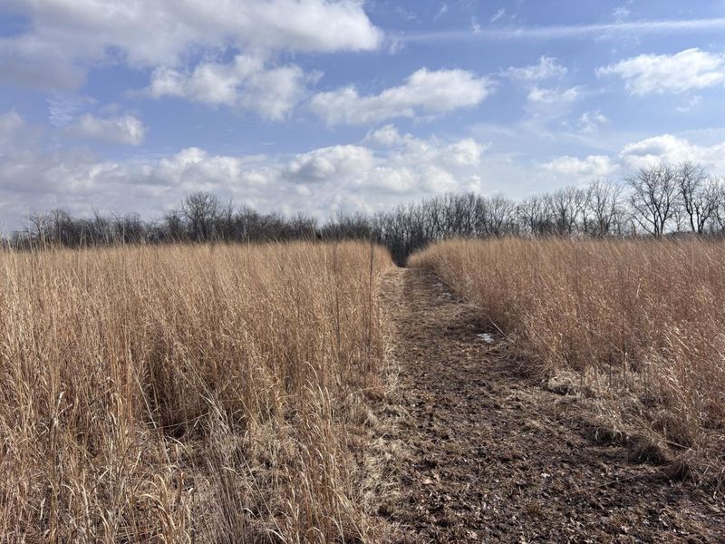 924 Eris Road, Urbana, OH 43078 Photo 40