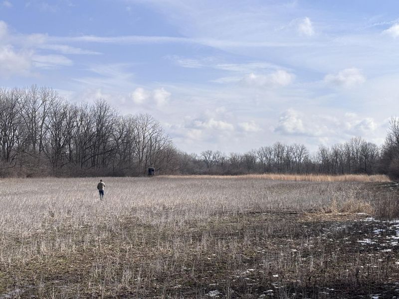 924 Eris Road, Urbana, OH 43078 Photo 41