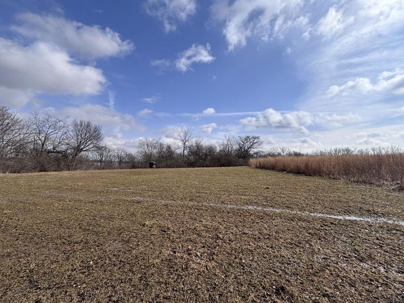 924 Eris Road, Urbana, OH 43078 Photo 44