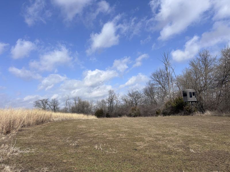 924 Eris Road, Urbana, OH 43078 Photo 49