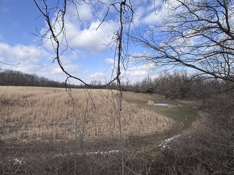 924 Eris Road, Urbana, OH 43078 Photo 50