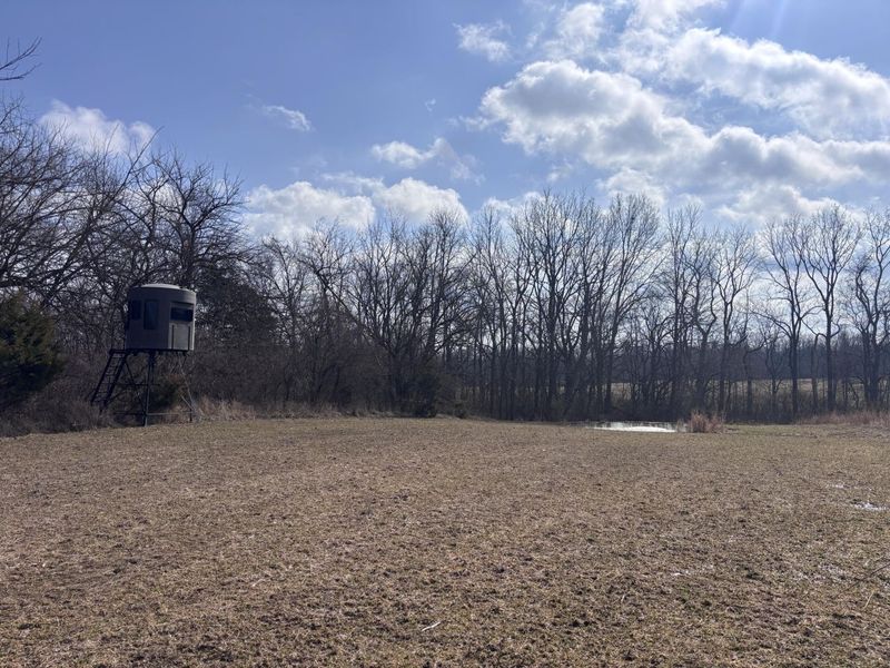 924 Eris Road, Urbana, OH 43078 Photo 51