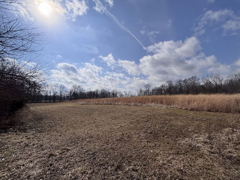 924 Eris Road, Urbana, OH 43078 Photo 52