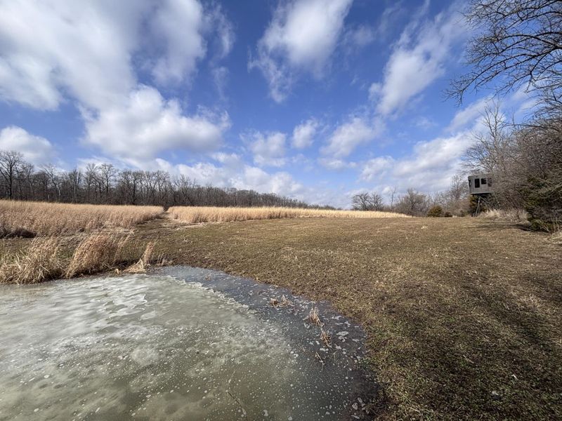 924 Eris Road, Urbana, OH 43078 Photo 54