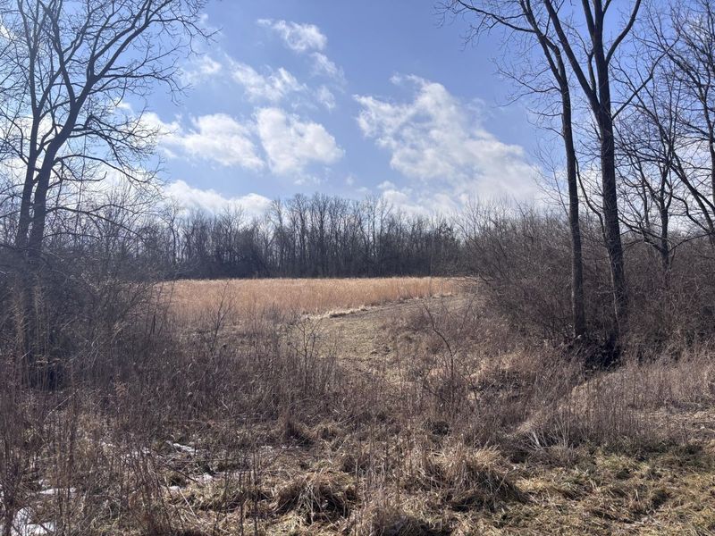 924 Eris Road, Urbana, OH 43078 Photo 58