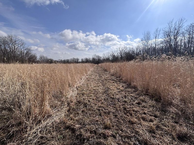 924 Eris Road, Urbana, OH 43078 Photo 60