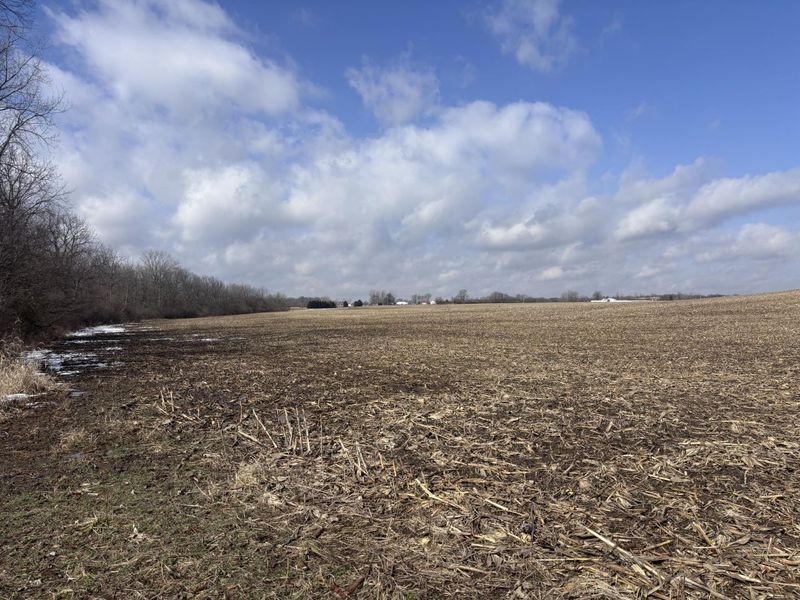 924 Eris Road, Urbana, OH 43078 Photo 61