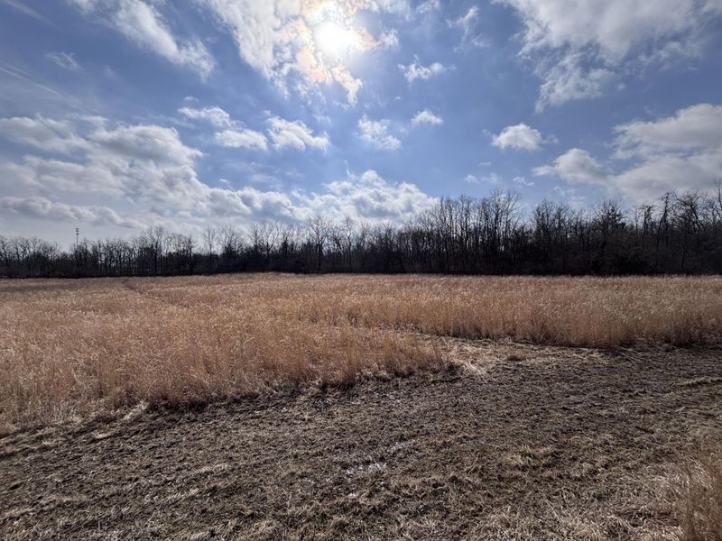 924 Eris Road, Urbana, OH 43078 Photo 63