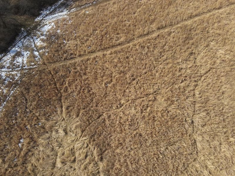 924 Eris Road, Urbana, OH 43078 Photo 7