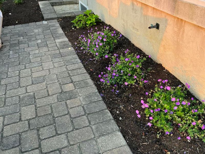 7542 Deer Valley Crossing, Powell, OH 43065 Photo 47