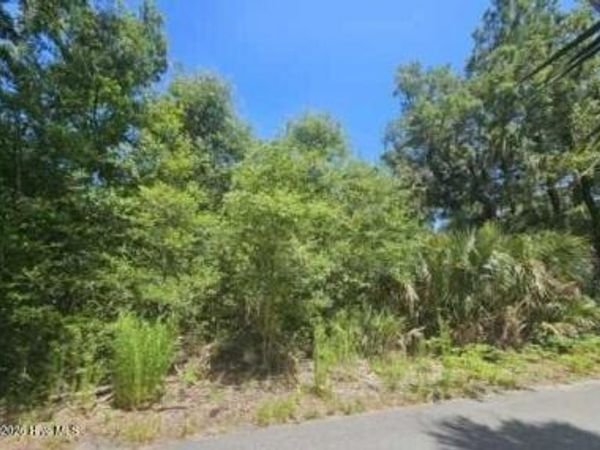 6 Red Bay Court, Bald Head Island, NC 28461
