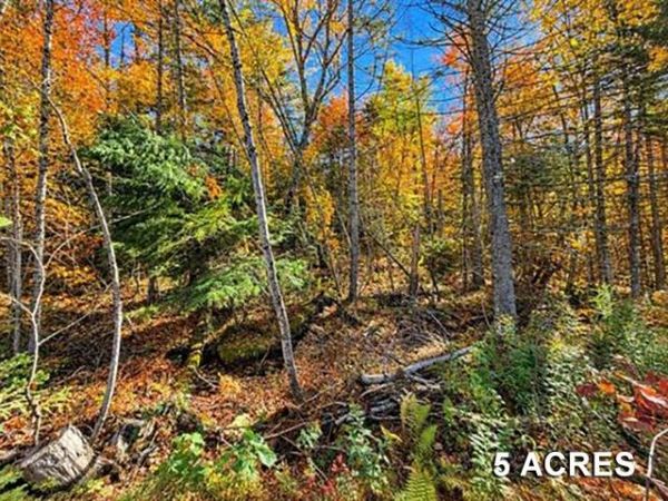 00 Mountain Road, Burke, VT 05832