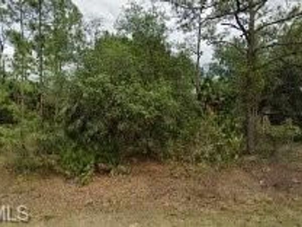 318 Wells AVE , LEHIGH ACRES, FL 33936