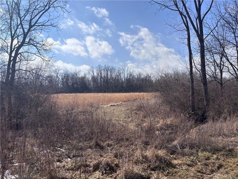 924 Eris Road, Urbana, OH 43078 Photo 19