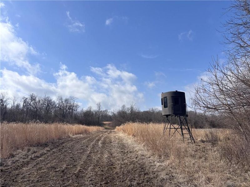 924 Eris Road, Urbana, OH 43078 Photo 20