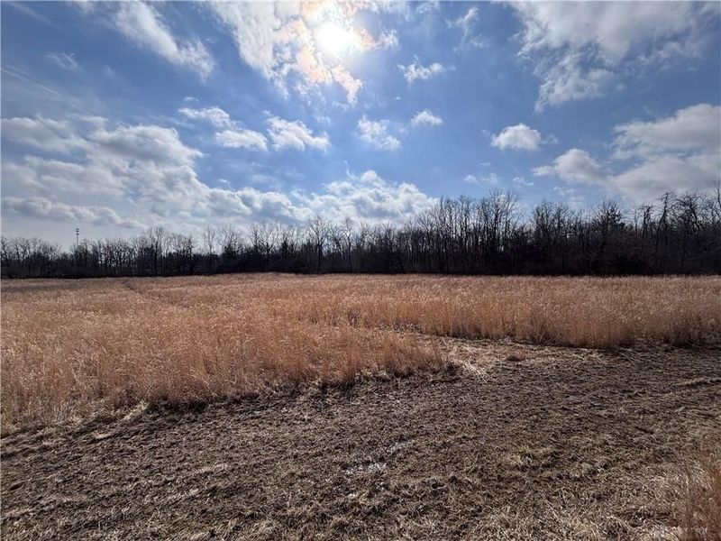 924 Eris Road, Urbana, OH 43078 Photo 22