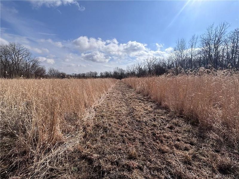 924 Eris Road, Urbana, OH 43078 Photo 23