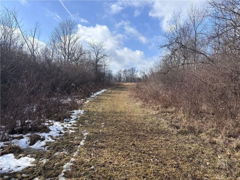 924 Eris Road, Urbana, OH 43078 Photo 24