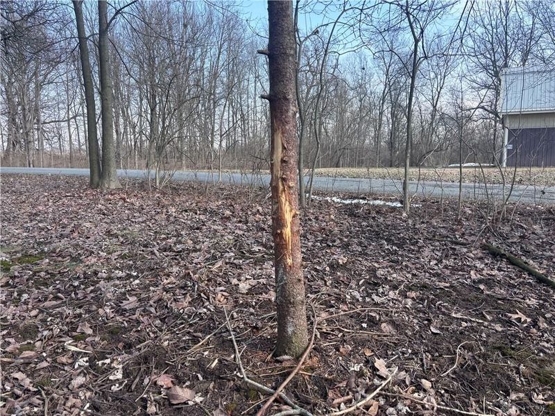 924 Eris Road, Urbana, OH 43078 Photo 27