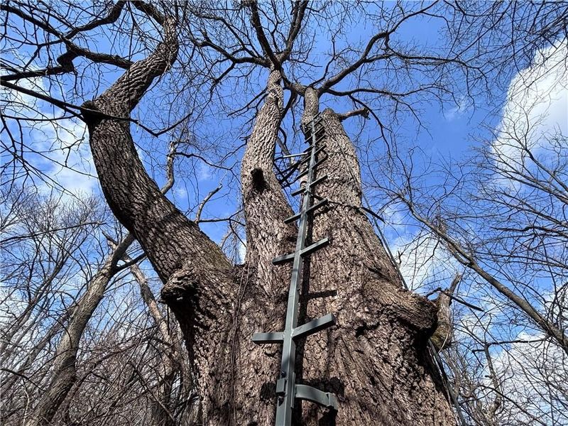 924 Eris Road, Urbana, OH 43078 Photo 34