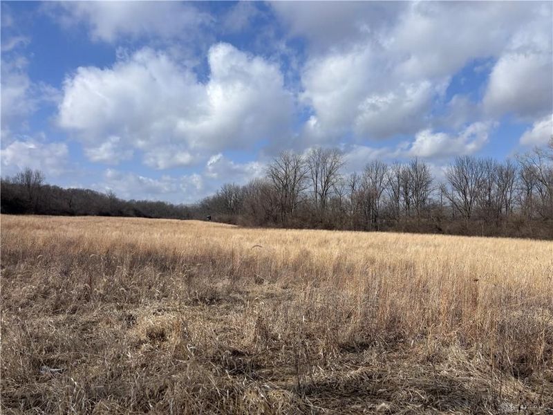 924 Eris Road, Urbana, OH 43078 Photo 35