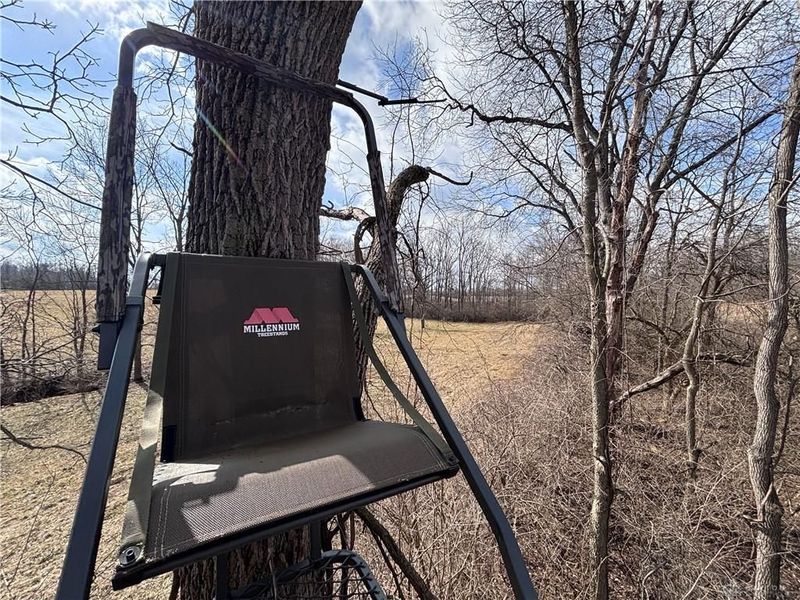 924 Eris Road, Urbana, OH 43078 Photo 38