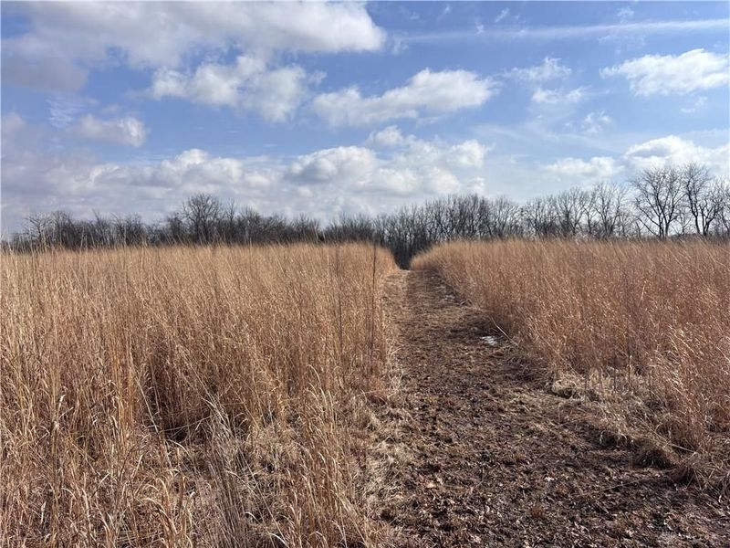 924 Eris Road, Urbana, OH 43078 Photo 39