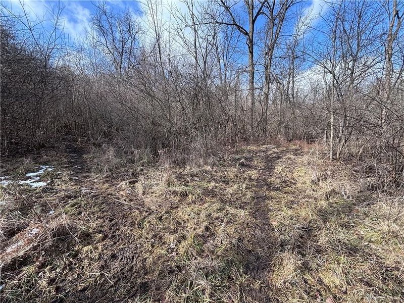 924 Eris Road, Urbana, OH 43078 Photo 41