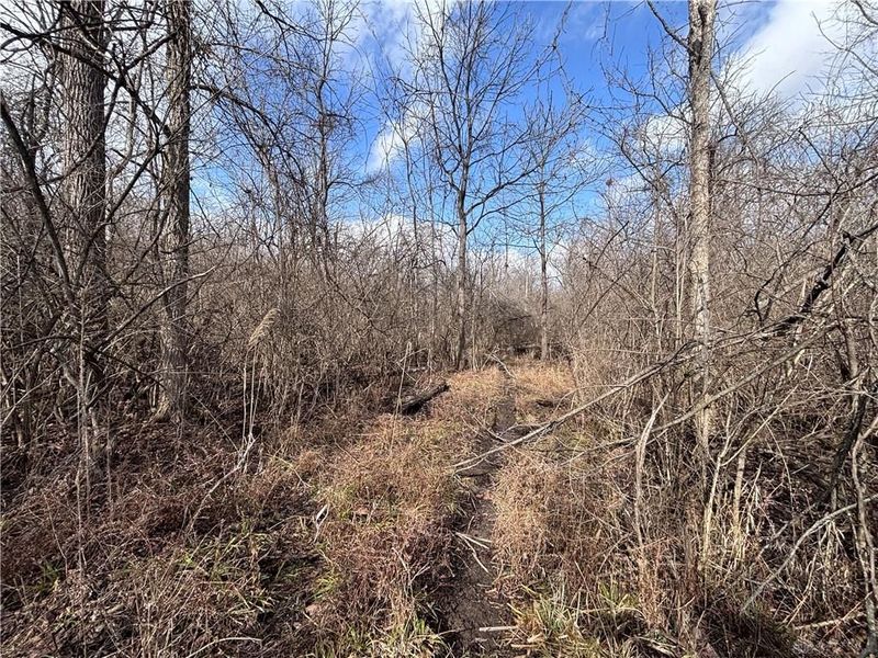 924 Eris Road, Urbana, OH 43078 Photo 42