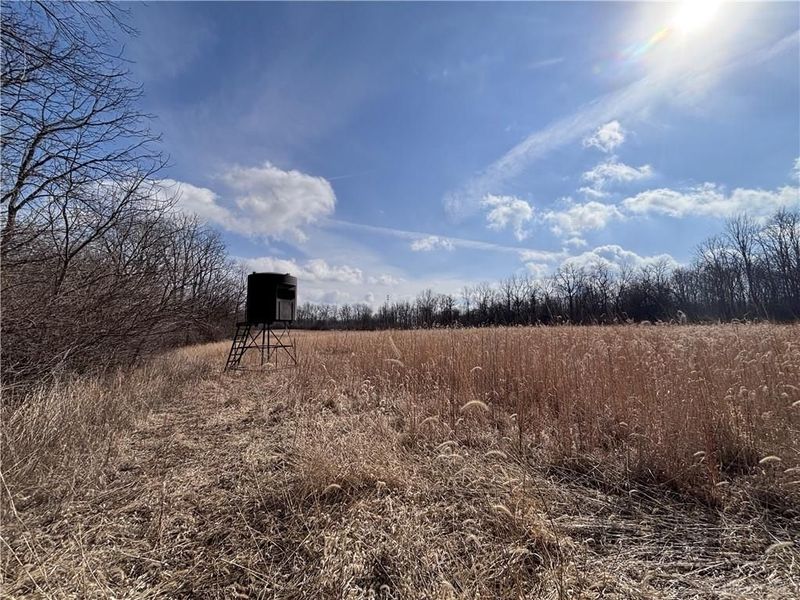 924 Eris Road, Urbana, OH 43078 Photo 43