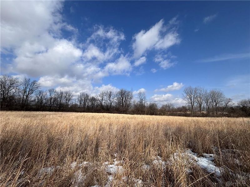 924 Eris Road, Urbana, OH 43078 Photo 44