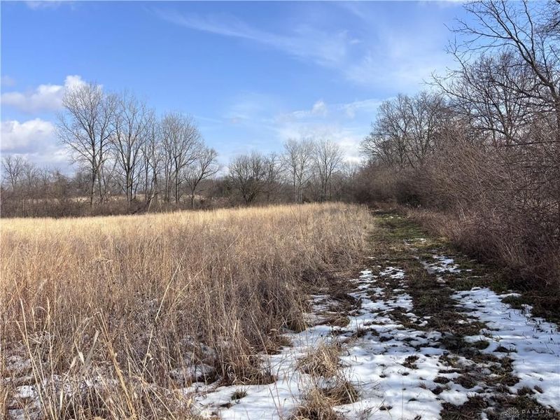 924 Eris Road, Urbana, OH 43078 Photo 45