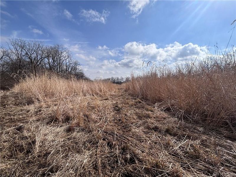 924 Eris Road, Urbana, OH 43078 Photo 47