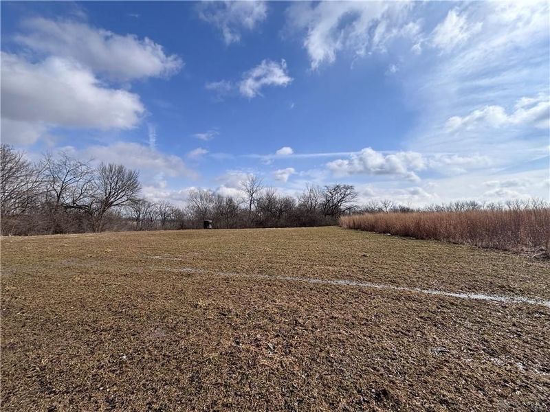 924 Eris Road, Urbana, OH 43078 Photo 49