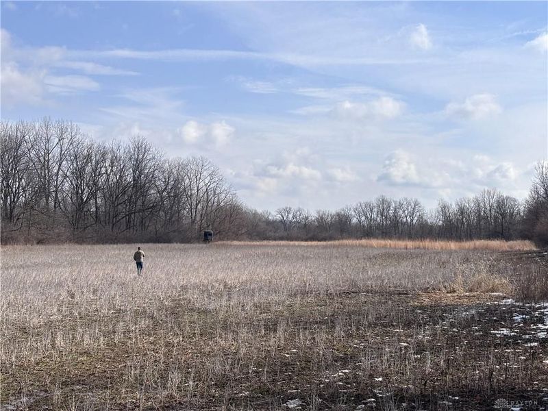 924 Eris Road, Urbana, OH 43078 Photo 50