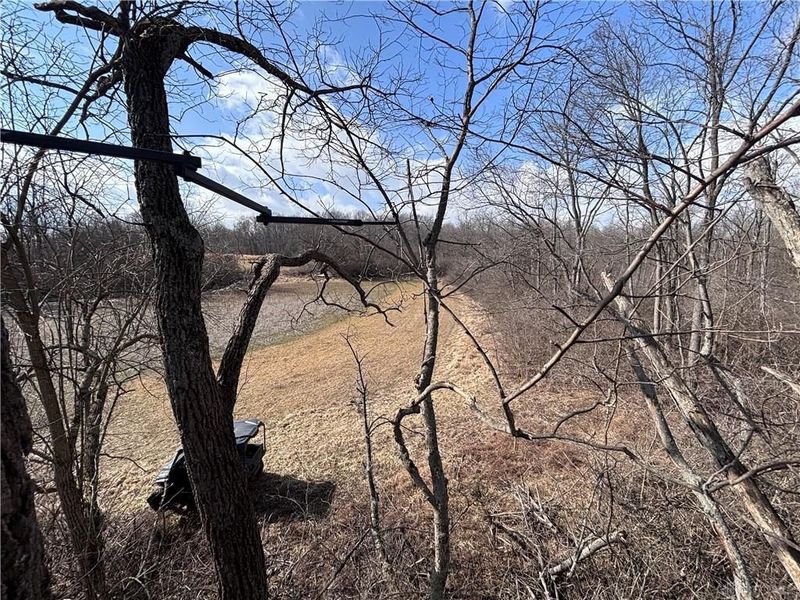 924 Eris Road, Urbana, OH 43078 Photo 52