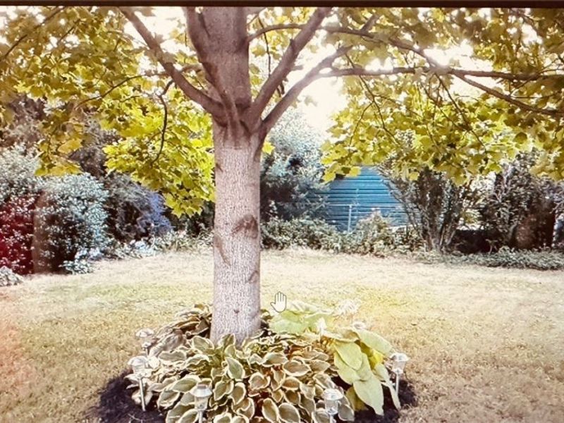 6398 Iroquois Trail , Mentor, OH 44060 Photo 16