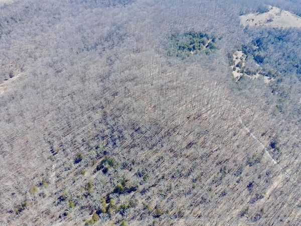 Rt 1 County Rd 14-531, Ava, MO 65608