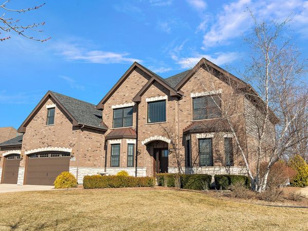 23059 Firenze Drive , Frankfort, IL 60423