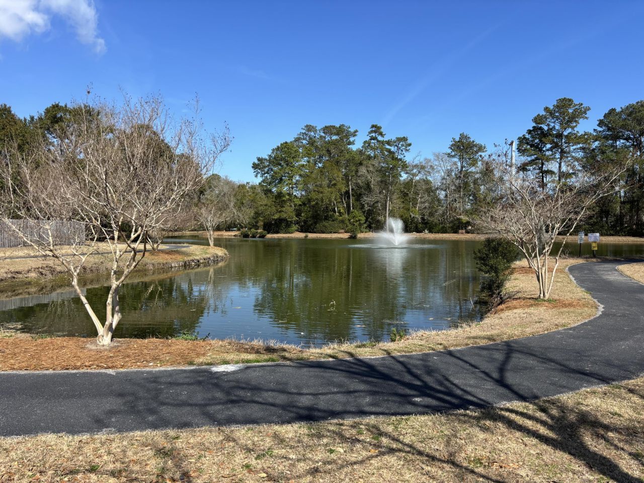 1327 Pinnacle Lane Photo 37