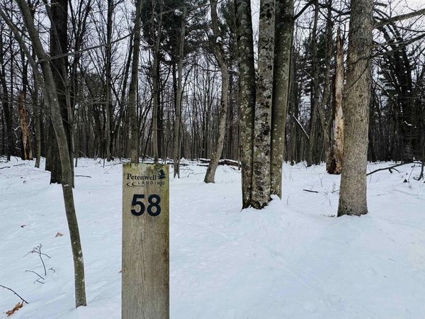 Lot 58 Badger Court, Arkdale, WI 54613