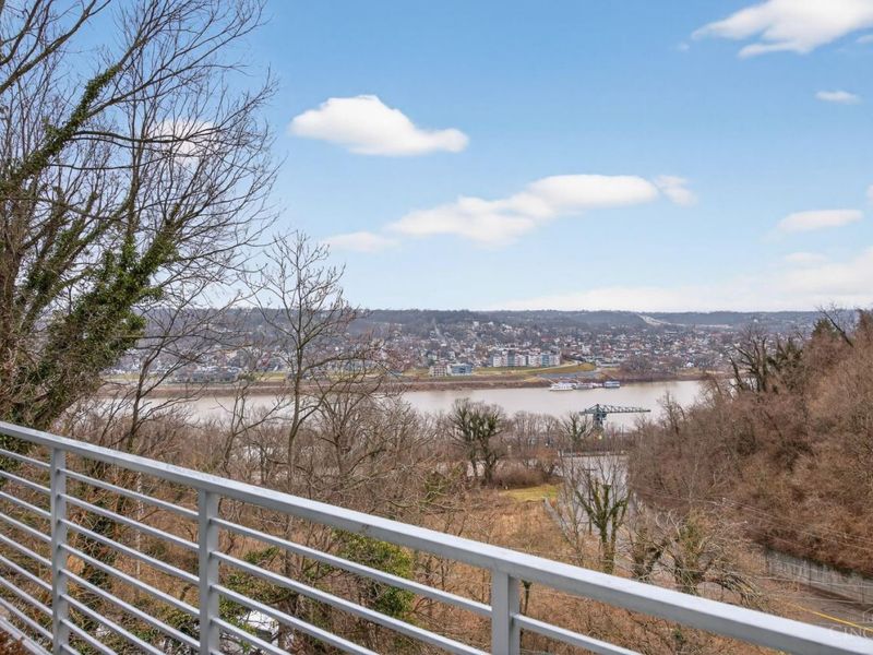 2003 Calvin Cliff Street, Cincinnati, OH 45206 Photo 11