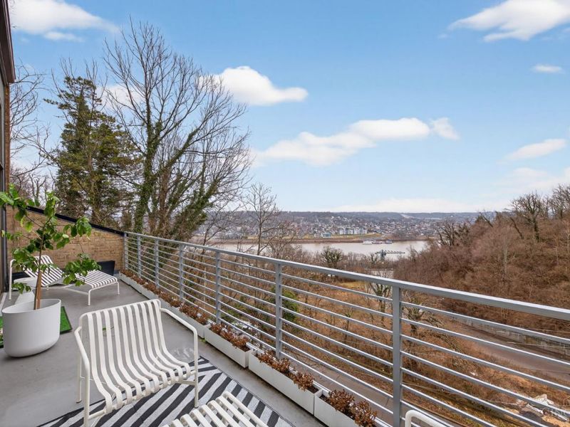 2003 Calvin Cliff Street, Cincinnati, OH 45206 Photo 9