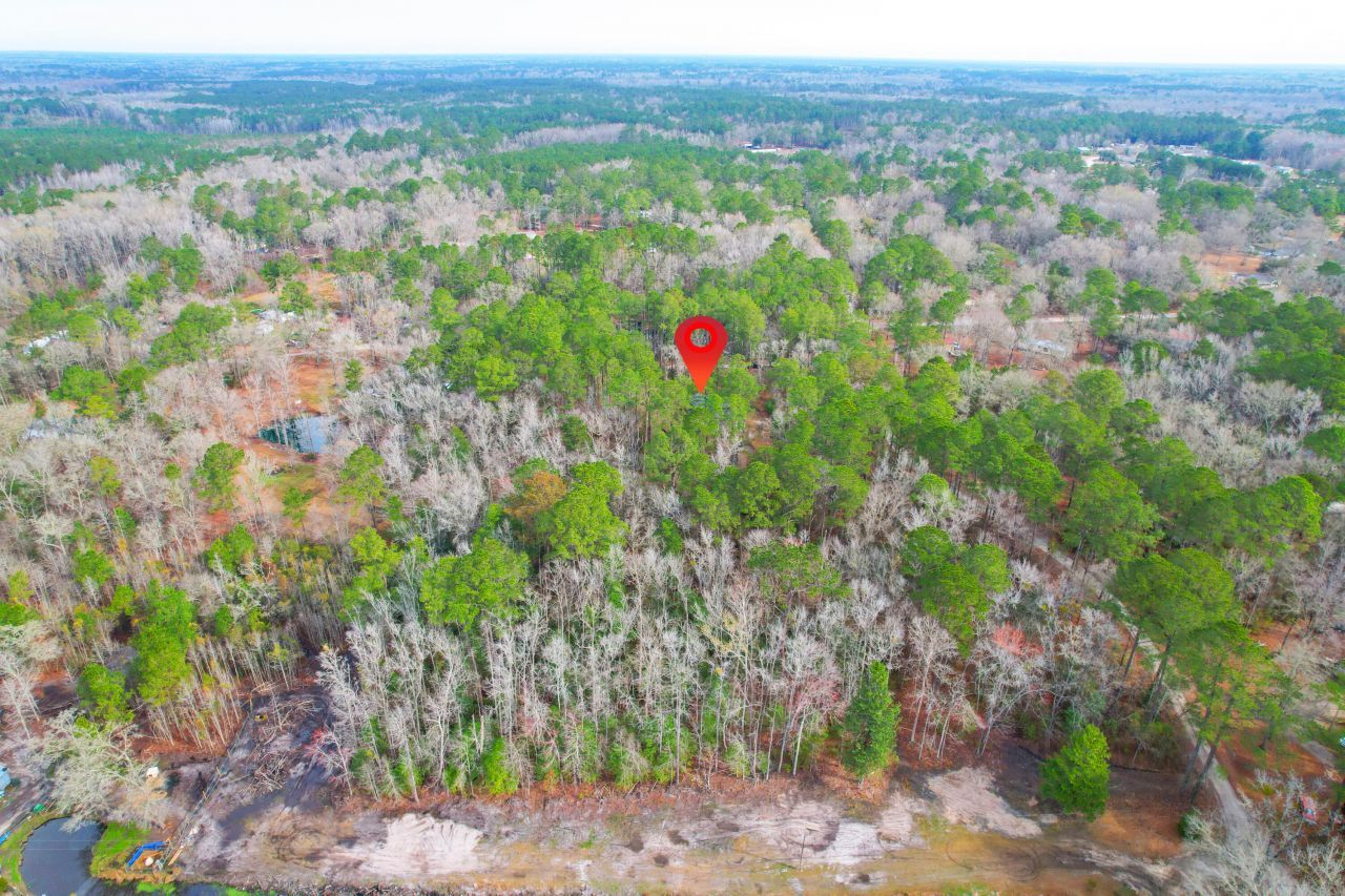 35 Dalmation Court Photo 46