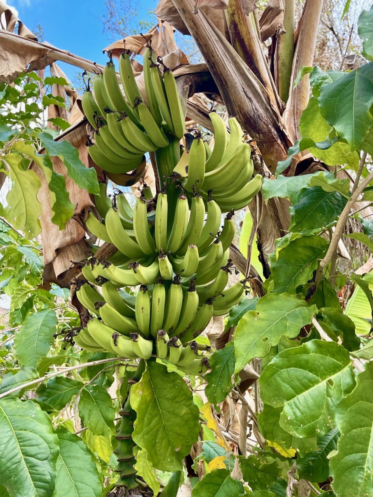 6685 Lakeside Road, West Palm Beach, FL 33411 Photo