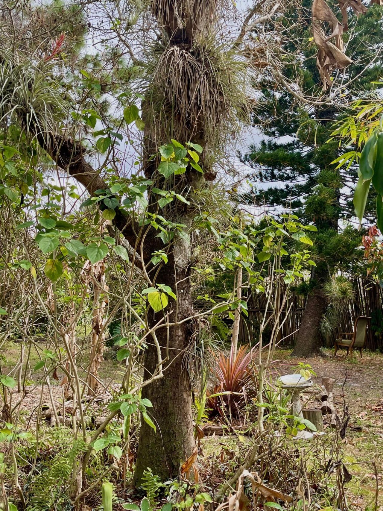 6685 Lakeside Road, West Palm Beach, FL 33411 Photo