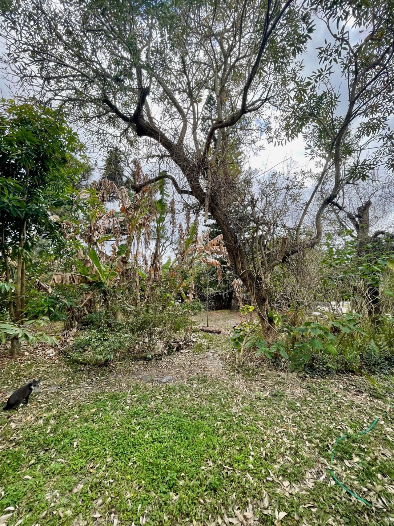 6685 Lakeside Road, West Palm Beach, FL 33411 Photo