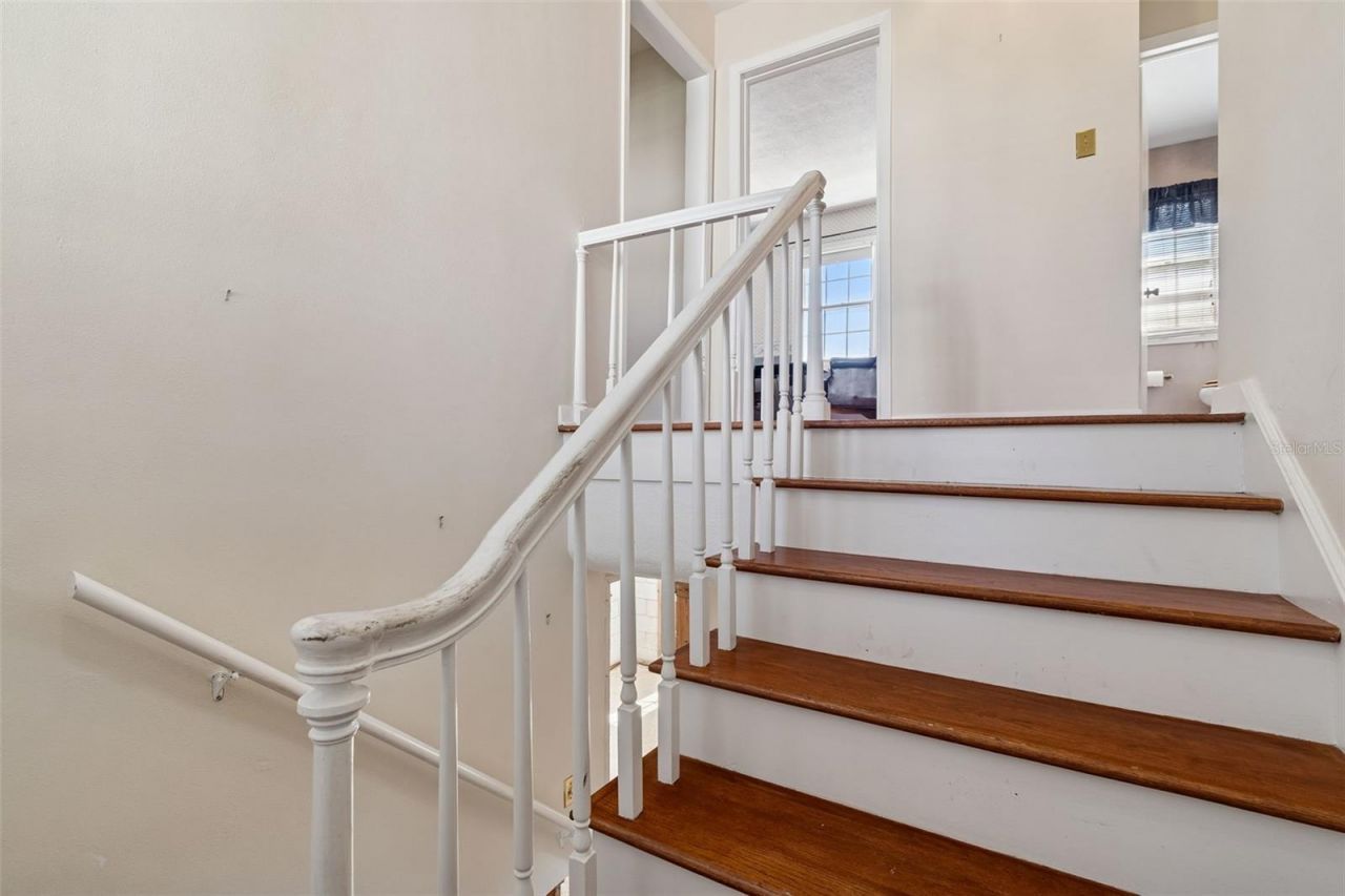 19 Sandpiper Road, Tampa, FL 33609 Photo
