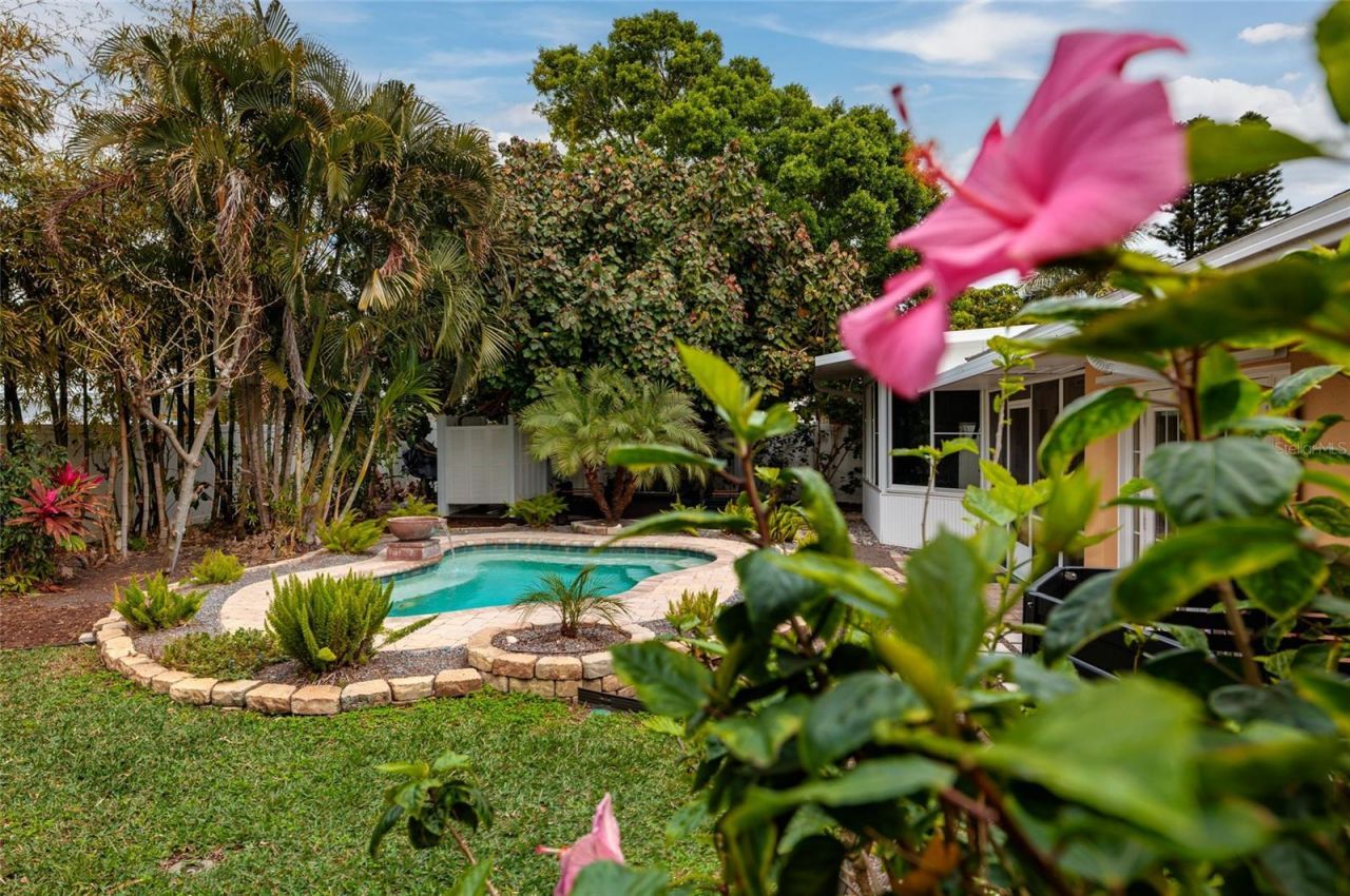 2209 Sunrise Drive Se, Saint Petersburg, FL 33705 Photo